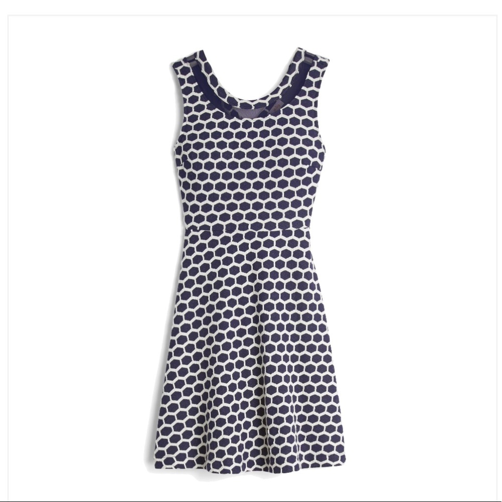 NWT Navy and white skater dress